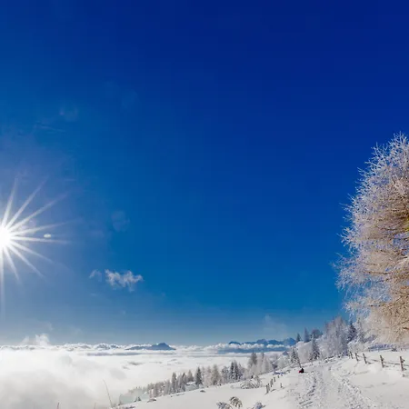 Wellness Parth شقة فندقية أوسياخ