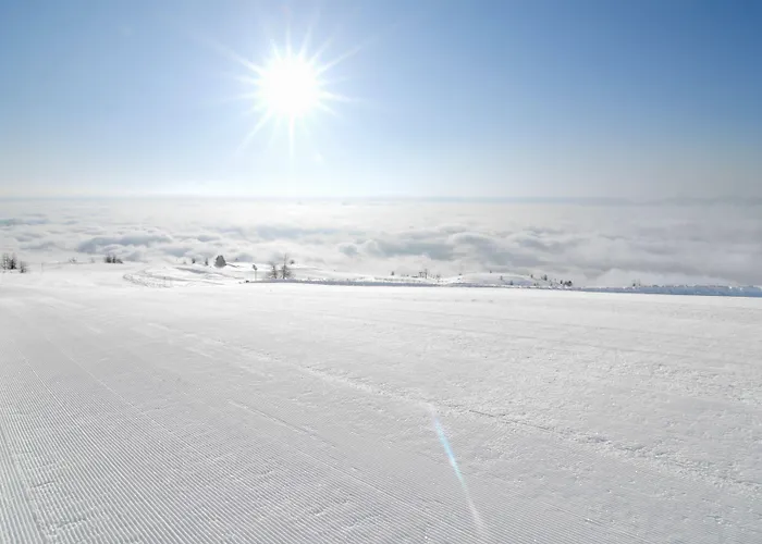 Wellness Parth 4* Ossiach