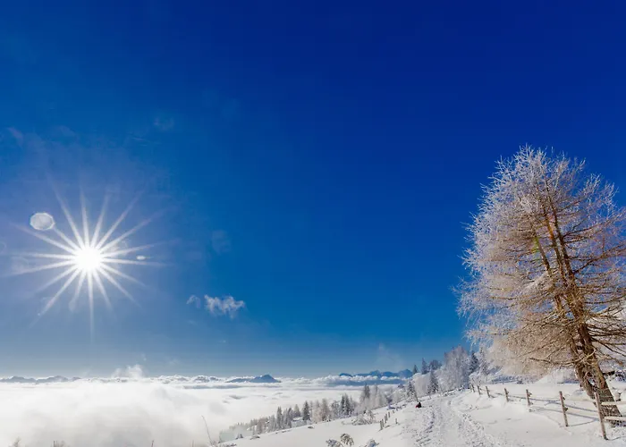 Wellness Parth Lägenhetshotell Ossiach