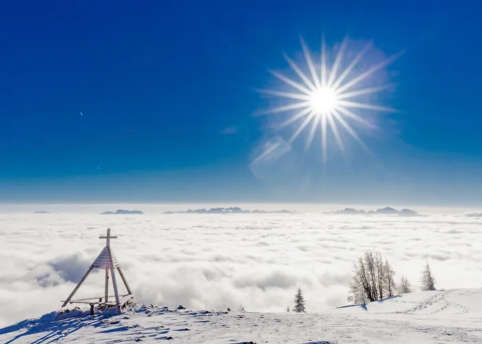 Wellness Parth Aparthotel 4*